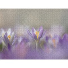 CALVENDO Puzzle CALVENDO Puzzle Zart und verganglich Пазл CALVENDO Puzzle Нежный и эфемерный