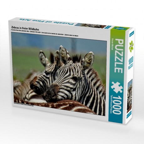 CALVENDO Puzzle CALVENDO Puzzle Zebras in freier Wildbahn Пазл CALVENDO Puzzle Зебры в дикой природе