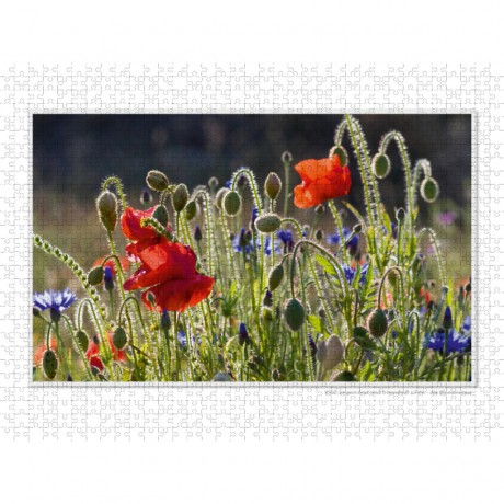 CALVENDO Puzzle CALVENDO Puzzle Emotionale Momente: Die Blumenwiese. \/ CH-Version Пазл CALVENDO Пазл Эмоциональные моменты: Цветочная поляна. \/ версия CH