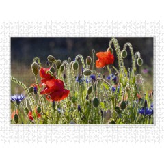 CALVENDO Puzzle CALVENDO Puzzle Emotionale Momente: Die Blumenwiese. \/ CH-Version Пазл CALVENDO Пазл Эмоциональные моменты: Цветочная поляна. \/ версия CH