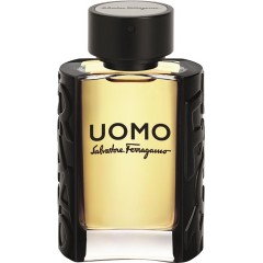 Salvatore Ferragamo (Сальваторе Феррагамо)  Uomo Eau de Toilette Туалетная вода Spray Спрей, 30 мл