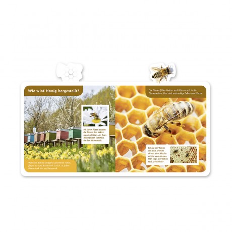 Mein kleines Tier-Lexikon: Die Biene Моя маленькая энциклопедия животных: Пчела