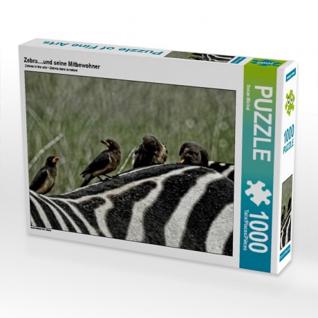 CALVENDO Puzzle CALVENDO Puzzle Zebra....und seine Mitbewohner Пазл CALVENDO Puzzle Зебра....и его соседи по комнате