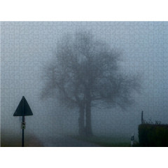 CALVENDO Puzzle CALVENDO Puzzle Nebelstimmung zwischen Sottorf und Sieversen Пазл CALVENDO Puzzle Туманная атмосфера между Зотторфом и Зиверсеном