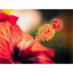 CALVENDO Puzzle CALVENDO Puzzle Hibiskus-Blute Пазл CALVENDO Puzzle Цветок гибискуса