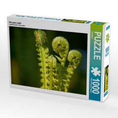 CALVENDO Puzzle CALVENDO Puzzle Hin zum Licht Пазл CALVENDO Puzzle Навстречу свету