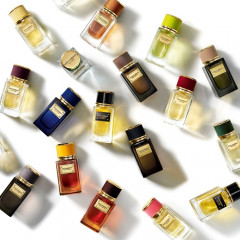 Dolce&Gabbana Velvet Collection Tender Oud Коллекция Velvet Tender Oud