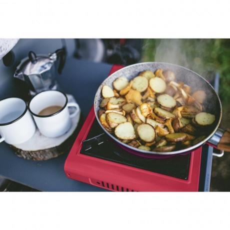 Rothenberger Rothenberger Gaskocher Rothenberger Industrial Gas Camping Kocher Gourmet Piezo RS 220 150000 Газовая плита Rothenberger Промышленная газовая плита Rothenberger для кемпинга Gourmet Piezo RS 220 150000