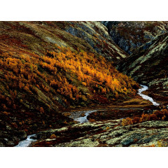 CALVENDO Puzzle CALVENDO Puzzle Grimsdalen Пазл CALVENDO Пазл Гримсдален