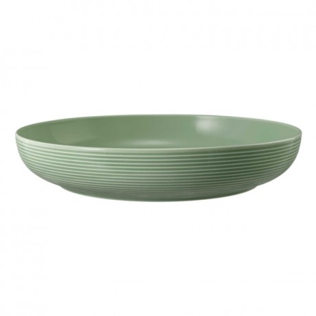 Seltmann Weiden Seltmann Weiden Beat Salbeigrun Foodbowl Schale 28 cm Seltmann Weiden Зеленая миска Beat sage 28 см