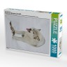 CALVENDO Puzzle CALVENDO Puzzle Emotionale Momente: Der Wolf. Пазл CALVENDO Пазл Эмоциональные моменты: Волк.