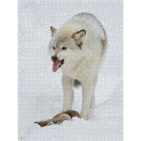 CALVENDO Puzzle CALVENDO Puzzle Emotionale Momente: Der Wolf. Пазл CALVENDO Пазл Эмоциональные моменты: Волк.