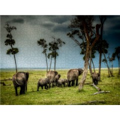 CALVENDO Puzzle CALVENDO Puzzle Auf der Bahn der Elefanten Пазл CALVENDO Puzzle По тропе слонов