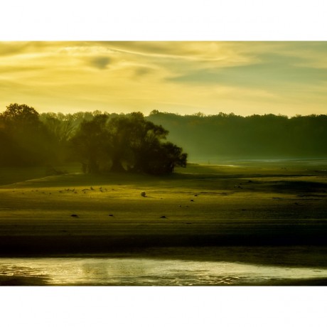 CALVENDO Puzzle CALVENDO Puzzle Sonnenaufgang auf den Wiesen Пазл CALVENDO Puzzle Восход солнца на лугах