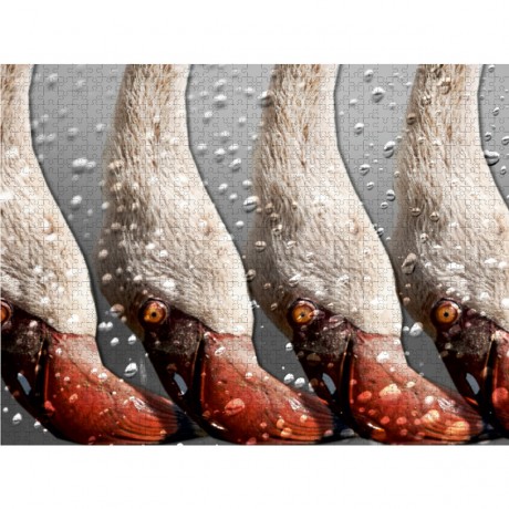 CALVENDO Puzzle CALVENDO Puzzle Emotionale Momente: African Dreams Пазл CALVENDO Puzzle Emotional Moments: African Dreams