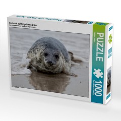 CALVENDO Puzzle CALVENDO Puzzle Seehund auf Helgolands Dune Пазл CALVENDO Puzzle Seal on Helgolands Dune