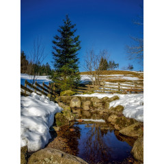 CALVENDO Puzzle CALVENDO Puzzle Die Donauquelle Пазл CALVENDO Puzzle Исток Дуная