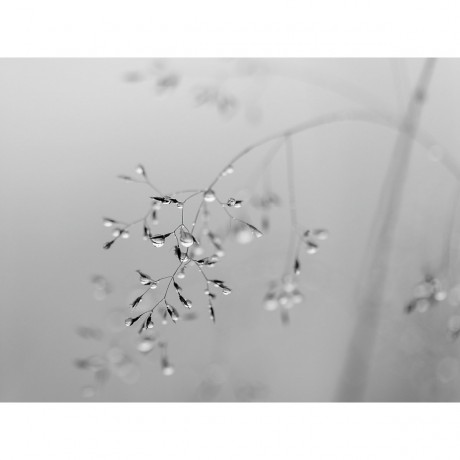 CALVENDO Puzzle CALVENDO Puzzle Emotionale Momente: Mein Trauerjahr Пазл CALVENDO Puzzle Эмоциональные моменты: Год моей скорби