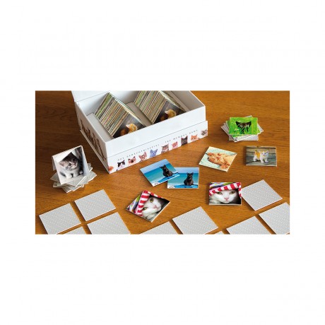 Remember Gedachtnisspiel 44 Cats in der Magnetbox