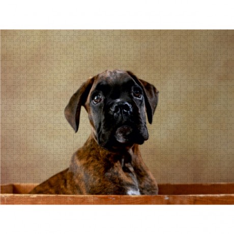 CALVENDO Puzzle CALVENDO Puzzle Gonzo Пазл CALVENDO Puzzle Гонзо