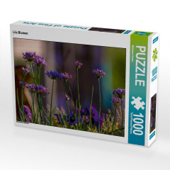 CALVENDO Puzzle CALVENDO Puzzle Lila Blumen Пазл CALVENDO Puzzle Фиолетовые цветы