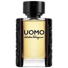 Salvatore Ferragamo (Сальваторе Феррагамо)  Eau de Toilette (EdT) Туалетная вода Uomo, 100 мл