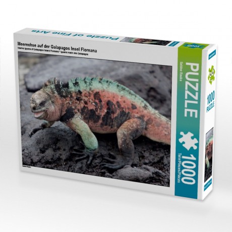 CALVENDO Puzzle CALVENDO Puzzle Meerechse auf der Galapagos Insel Floreana Пазл CALVENDO Пазл морской игуаны на галапагосском острове Флореана