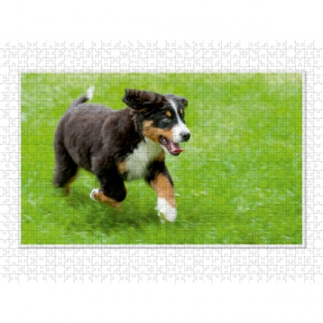 CALVENDO Puzzle CALVENDO Puzzle Emotionale Momente: Berner Sennenhund. \/ CH-Version Пазл CALVENDO Пазл Эмоциональные моменты: Бернский зенненхунд. \/ версия CH