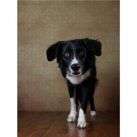 CALVENDO Puzzle CALVENDO Puzzle Jody Пазл CALVENDO Пазл Джоди