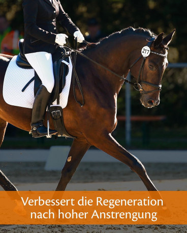 Набор 2 шт х 1000 мл Equistro Haemolytan 400 Эквистро Жидкая добавка для лошадей в условиях сильного стресса