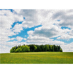 CALVENDO Puzzle CALVENDO Puzzle Wiesenlandschaft Пазл CALVENDO Puzzle Луговой пейзаж