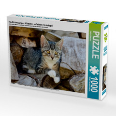 CALVENDO Puzzle CALVENDO Puzzle Niedliches junges Katzchen auf einem Holzstapel Пазл CALVENDO Puzzle Милый котенок на куче дров