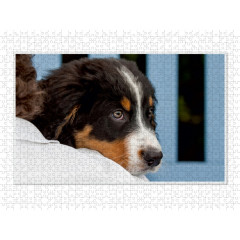 CALVENDO Puzzle CALVENDO Puzzle Emotionale Momente: Berner Sennenhund. \/ CH-Version Пазл CALVENDO Пазл Эмоциональные моменты: Бернский зенненхунд. \/ версия CH