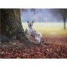CALVENDO Puzzle CALVENDO Puzzle Bengalkater beim Waldspaziergang Пазл CALVENDO Puzzle Бенгальский кот на прогулке в лесу