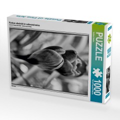 CALVENDO Puzzle CALVENDO Puzzle Krokus abstrakt in schwarz\/weiss Пазл CALVENDO Puzzle crocus abstract в черно-белом цвете