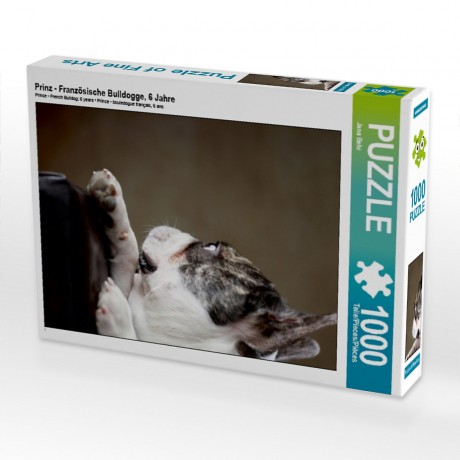 CALVENDO Puzzle CALVENDO Puzzle Prinz Пазл CALVENDO Пазл Принц