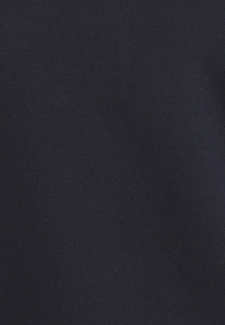 Tommy Hilfiger CREST Sweatshirt desert sky КРЕСТ Толстовка небо пустыни