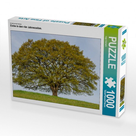 CALVENDO Puzzle CALVENDO Puzzle Eiche in den vier Jahreszeiten. Пазл CALVENDO Пазл Дуб в четыре сезона.