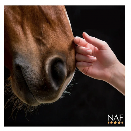 NAF Biotin Plus 2kg, Кормовая добавка для лошадей и пони (Великобритания), 2 кг, порошок, для копыт, шерсти и кожи, биотин, MSM, метионин, цинк, кальций