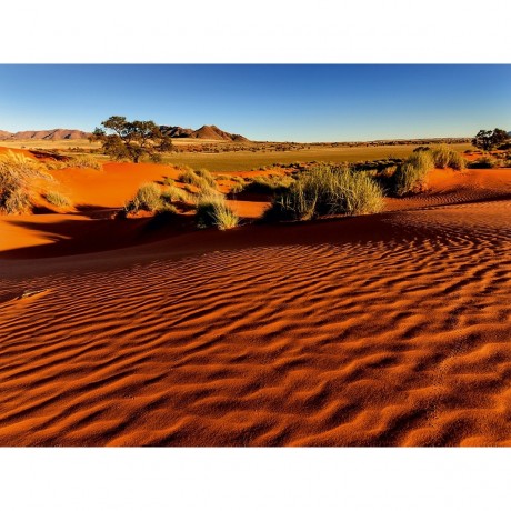 CALVENDO Puzzle CALVENDO Puzzle Morgenlicht in der Namib-Wuste in der Sossusvlei Пазл CALVENDO Puzzle Утренний свет в пустыне Намиб в Соссусвлей