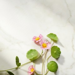 Rituals Ageless Firming Night Cream Refill  Укрепляющий ночной крем Ageless Refill