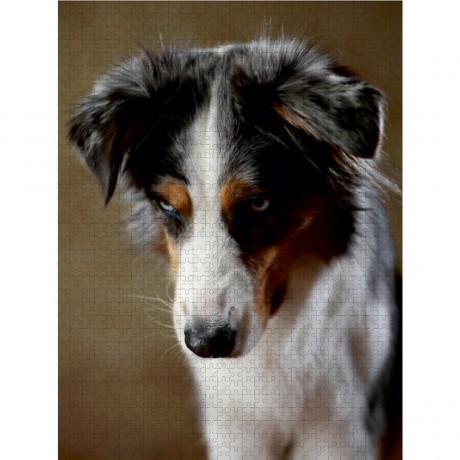 CALVENDO Puzzle CALVENDO Puzzle Dakota Пазл CALVENDO Пазл Дакота