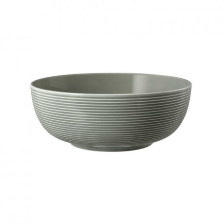 Seltmann Weiden Seltmann Weiden Beat Perlgrau Foodbowl Schale 20 cm Seltmann Weiden Beat жемчужно-серая миска 20 см