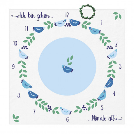 Fantifant Meilenstein-Fotodecke fur Babys Детское фотоодеяло Milestone