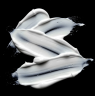 Sebastian Professional Dark Oil Кондиционер для волос 1000 мл профессиональный увлажняющий кондиционер с аргановым и жожоба маслами, блеск и мягкость