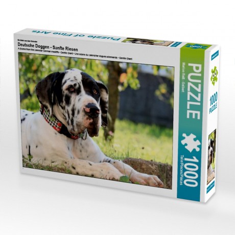 CALVENDO Puzzle CALVENDO Puzzle Deutsche Doggen Пазл CALVENDO Пазл Немецкие доги