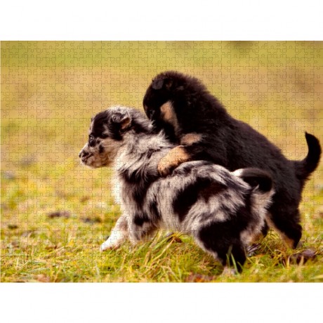 CALVENDO Puzzle CALVENDO Puzzle Schnapp Dich Пазл CALVENDO Puzzle Хватай себя