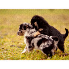 CALVENDO Puzzle CALVENDO Puzzle Schnapp Dich Пазл CALVENDO Puzzle Хватай себя