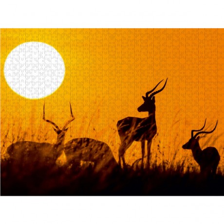 CALVENDO Puzzle CALVENDO Puzzle Impalabocke bei Sonnenaufgang in der Masai Mara in Kenia Пазл CALVENDO Пазл Импала козы на рассвете в Масаи Мара в Кении