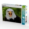 CALVENDO Puzzle CALVENDO Puzzle Weisskopfseeadler Пазл CALVENDO Пазл белоголовый орлан